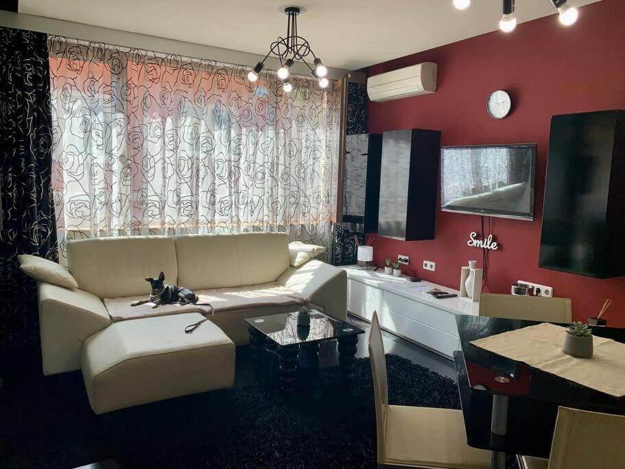 Lovely Sofia Apartment Katerina With Free Parking Экстерьер фото