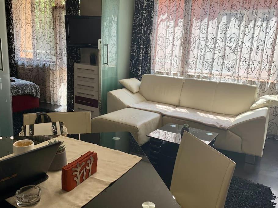 Lovely Sofia Apartment Katerina With Free Parking Экстерьер фото