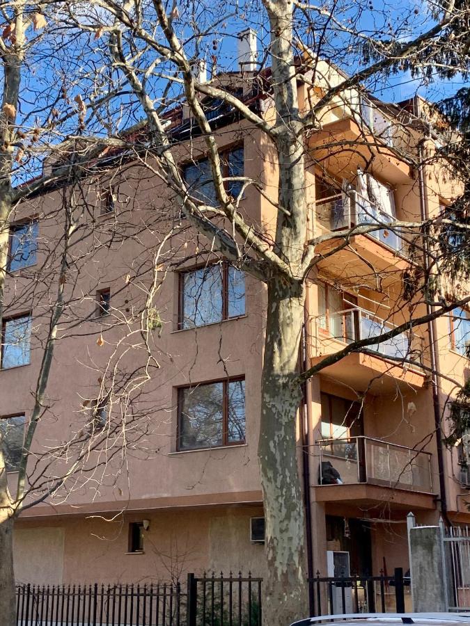 Lovely Sofia Apartment Katerina With Free Parking Экстерьер фото